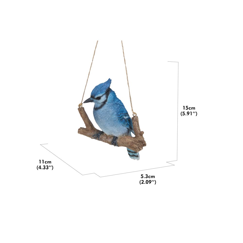 Hanging Blue Jay On A Branch. Picture 3