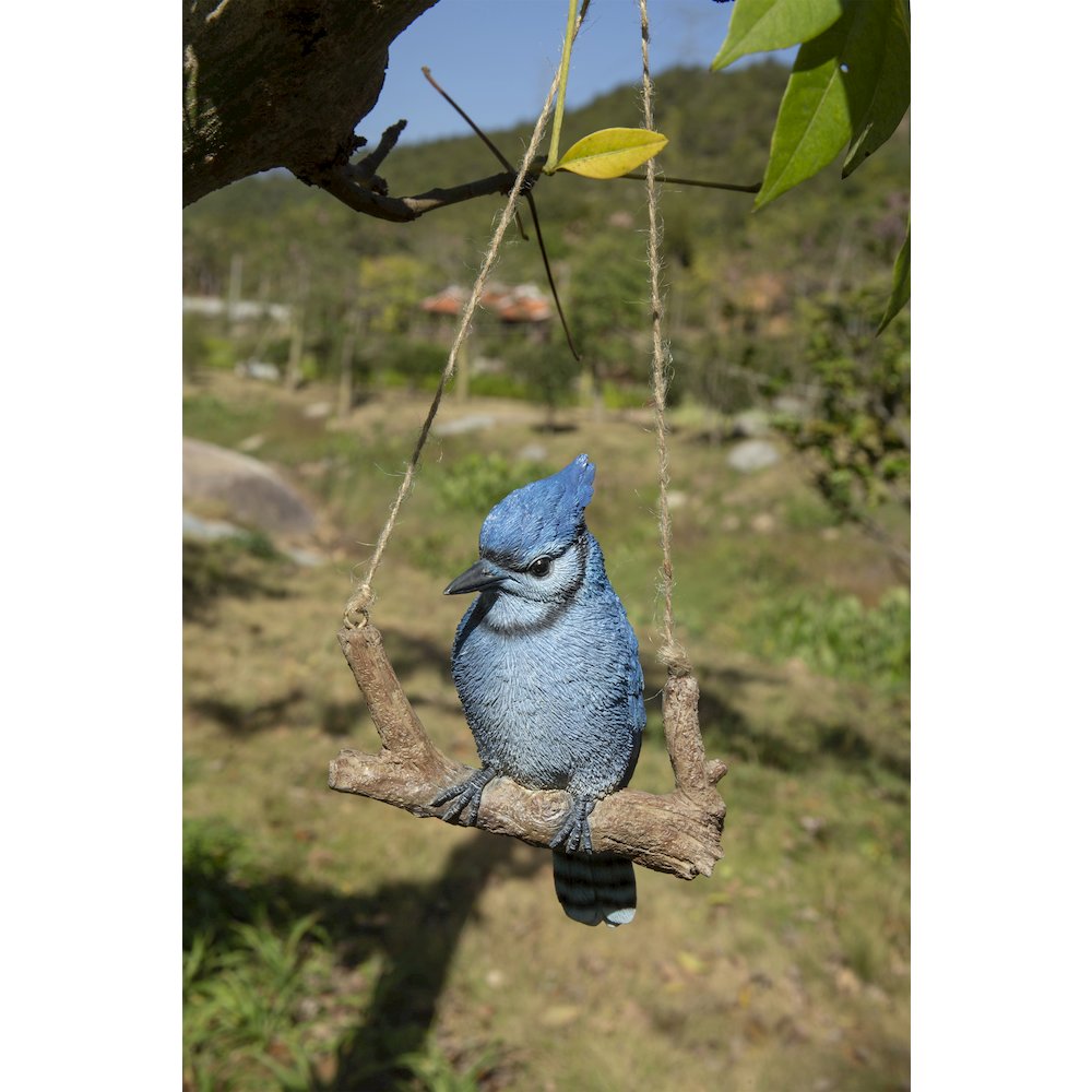 Hanging Blue Jay On A Branch. Picture 5