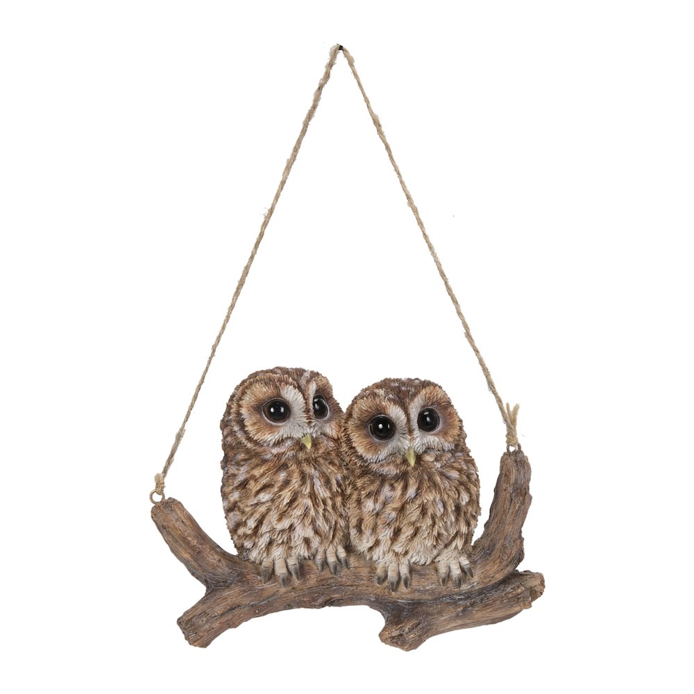 Hanging Baby Owlets On A Branch. Picture 2