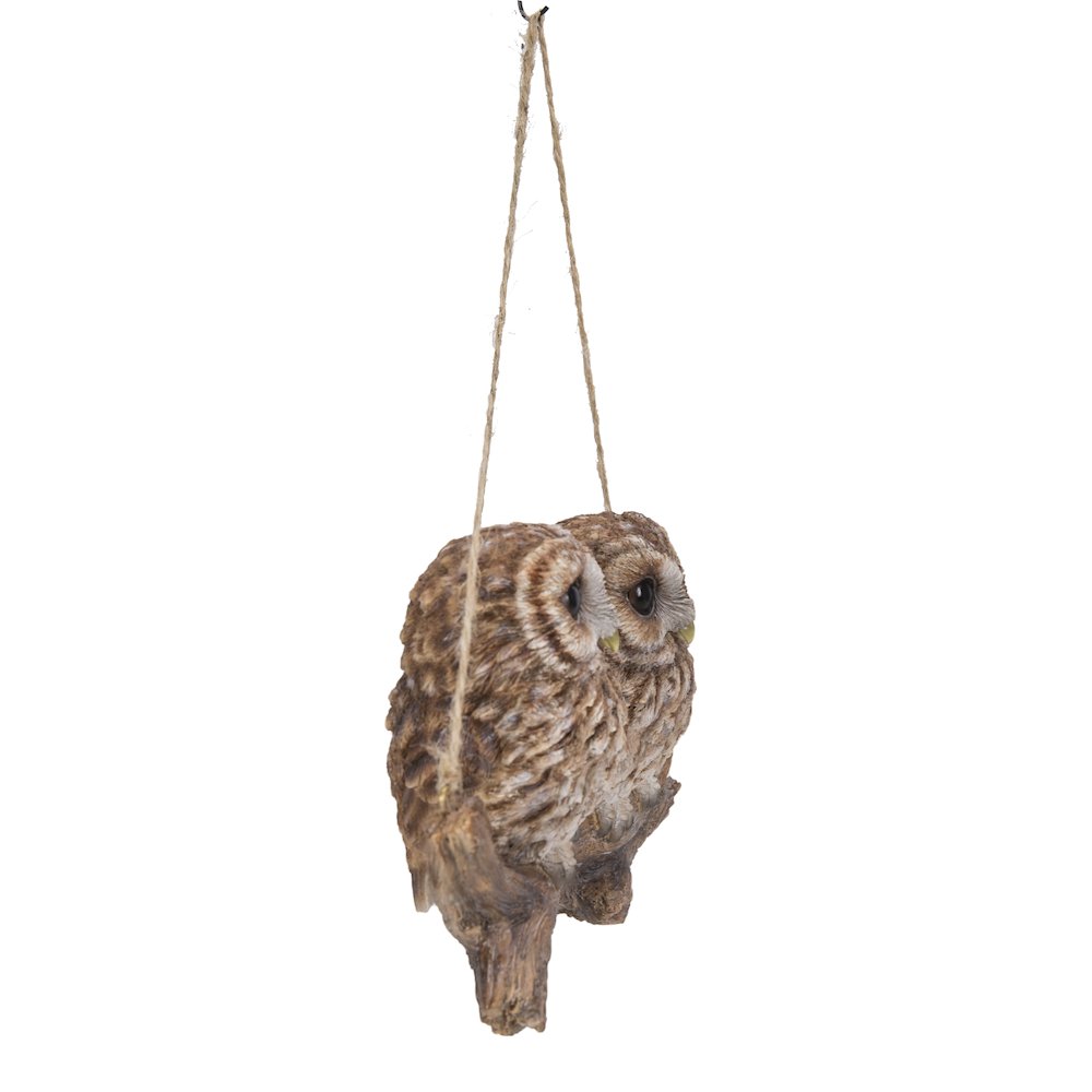 Hanging Baby Owlets On A Branch. Picture 3