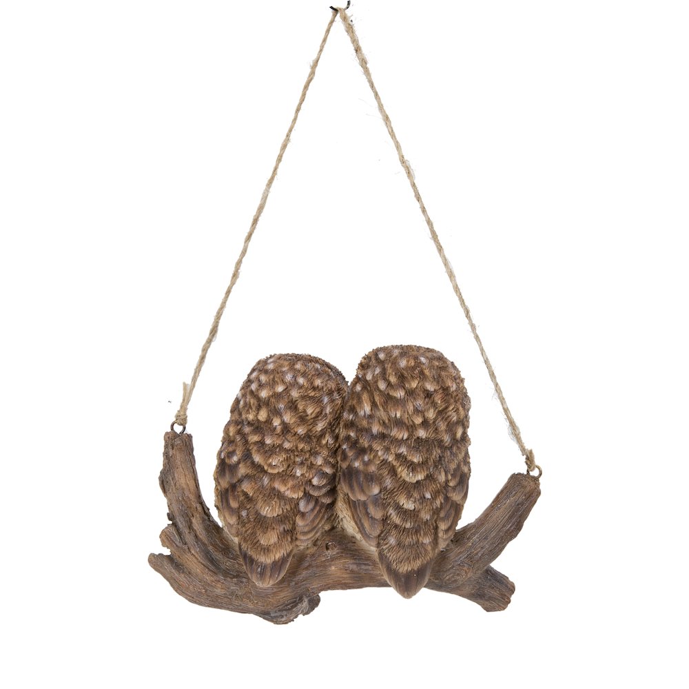 Hanging Baby Owlets On A Branch. Picture 4