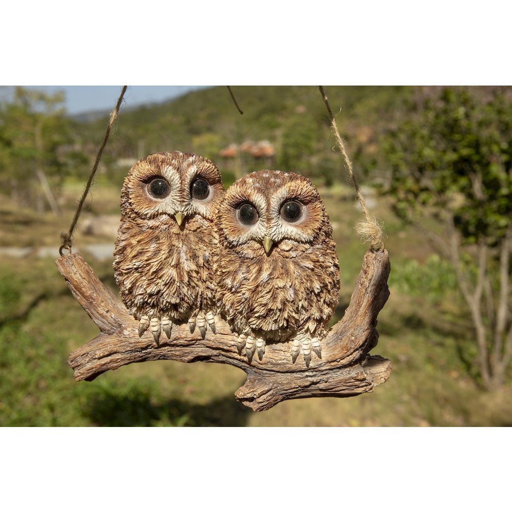 Hanging Baby Owlets On A Branch. Picture 6