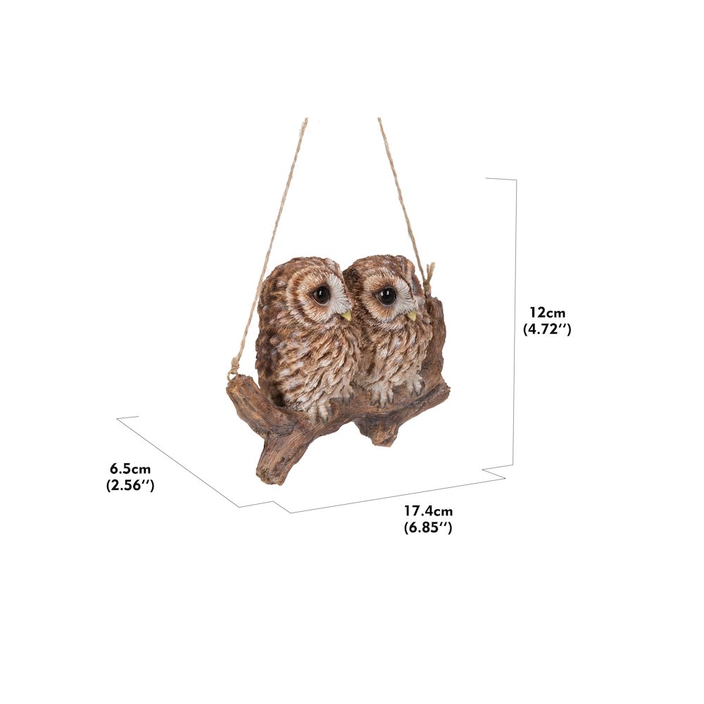 Hanging Baby Owlets On A Branch. Picture 5