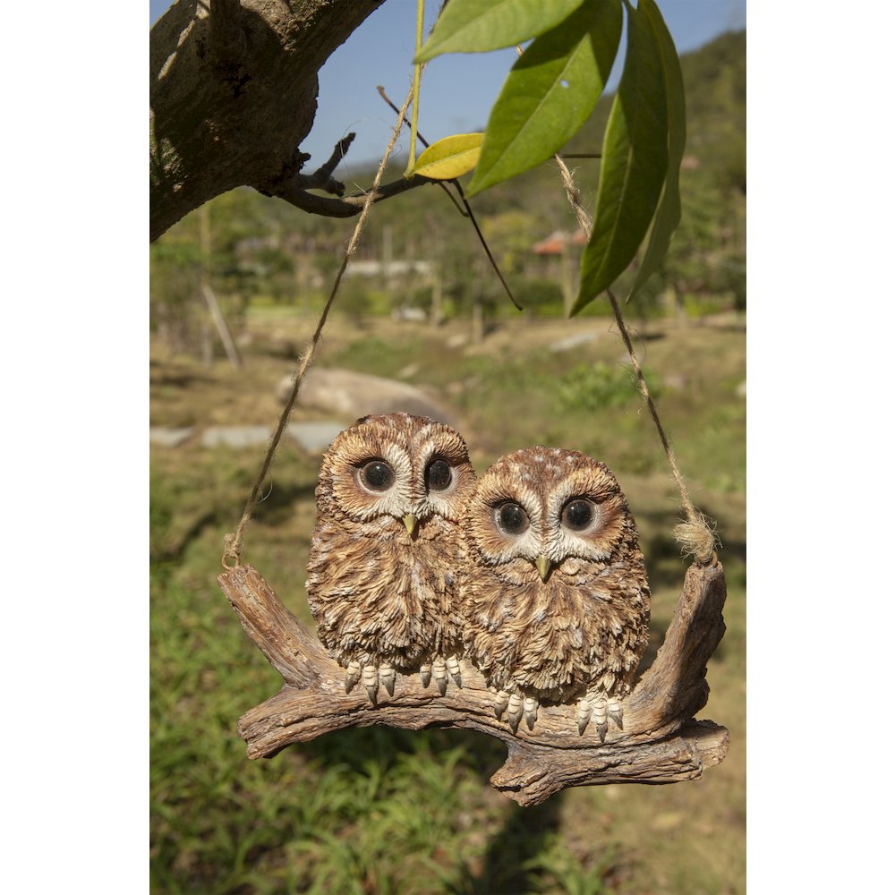 Hanging Baby Owlets On A Branch. Picture 7