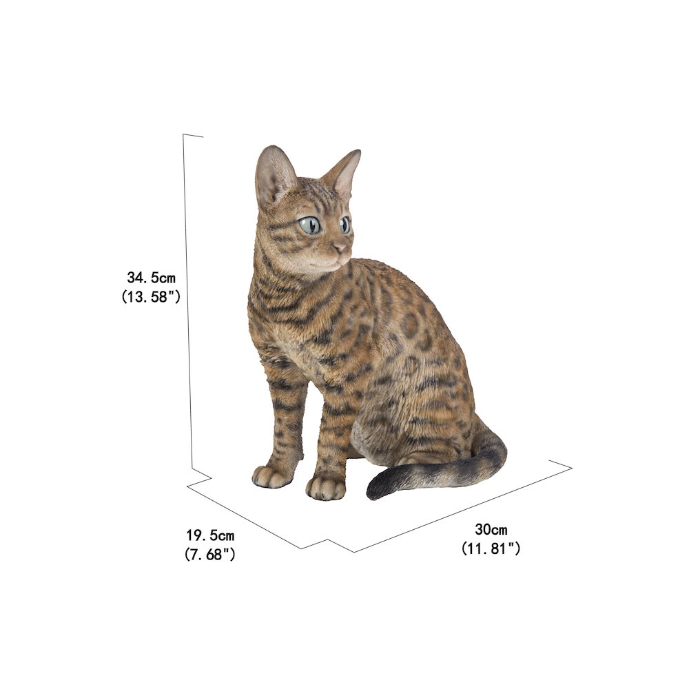 Sitting Bengal Cat. Picture 1