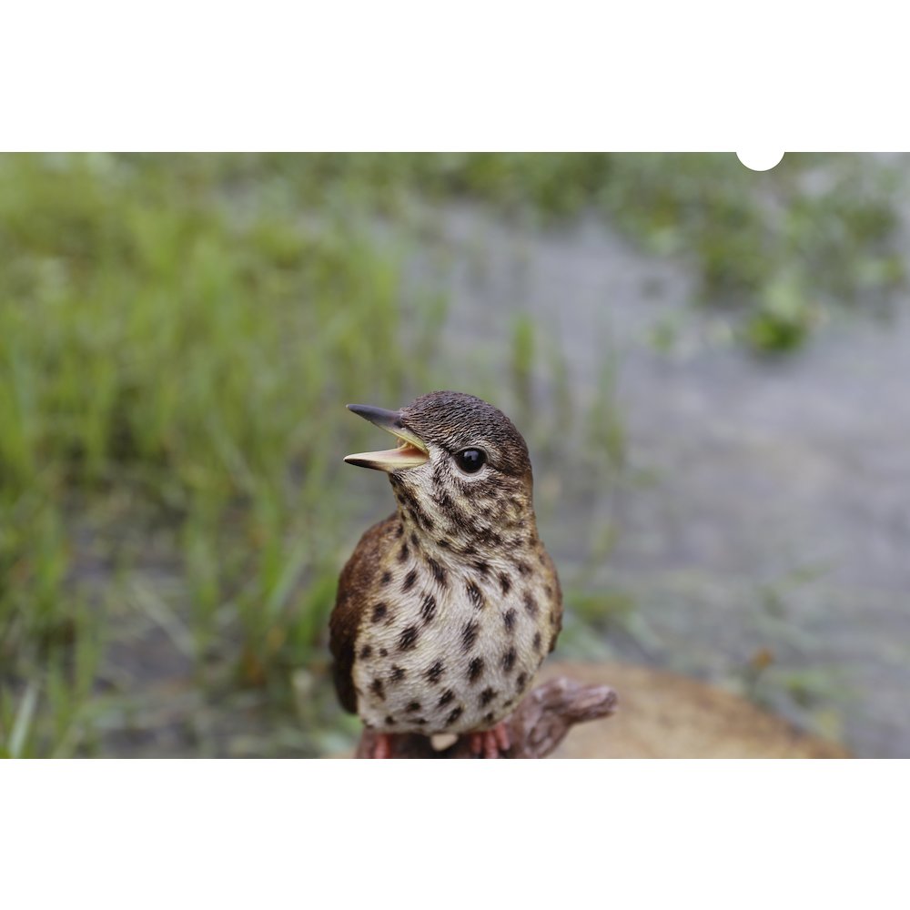 Songbird Standing On Stump W/Sound Motion Sensor. Picture 3