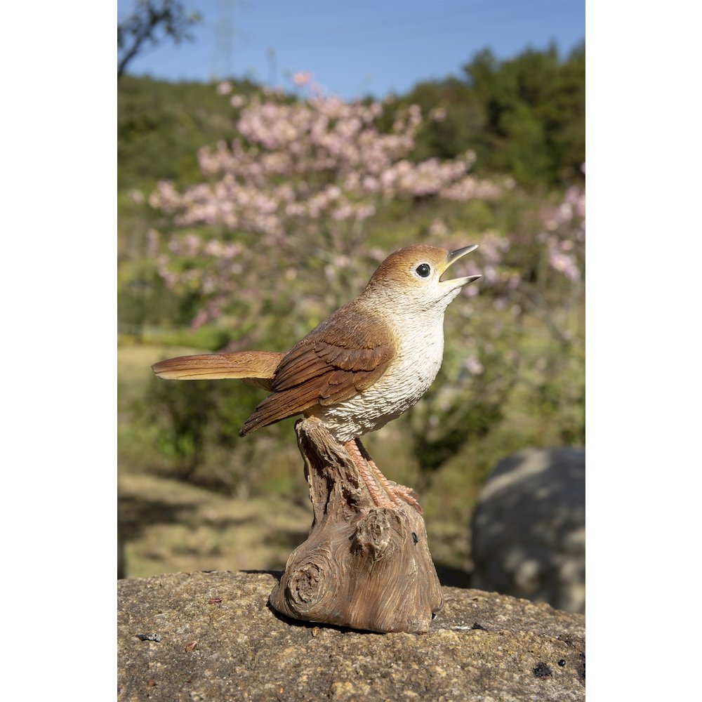 Motion Activated Singing Nightingale Standing On Stump. Picture 7