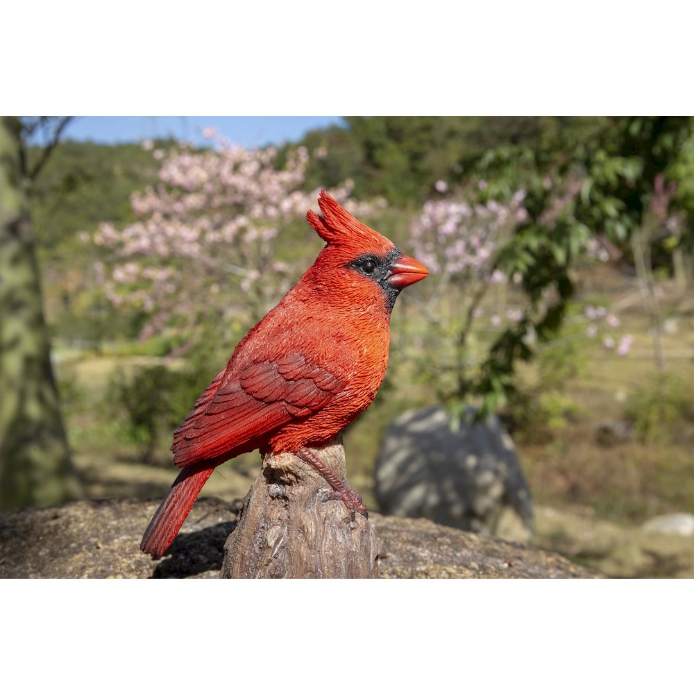 Motion Activated Singing Cardinal Standing On Stump. Picture 5