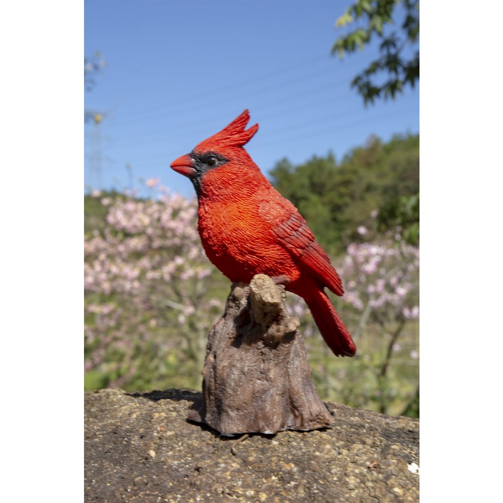 Motion Activated Singing Cardinal Standing On Stump. Picture 7