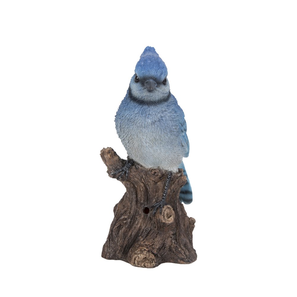 Motion Activated Singing Blue Jay Standing On Stump. Picture 1