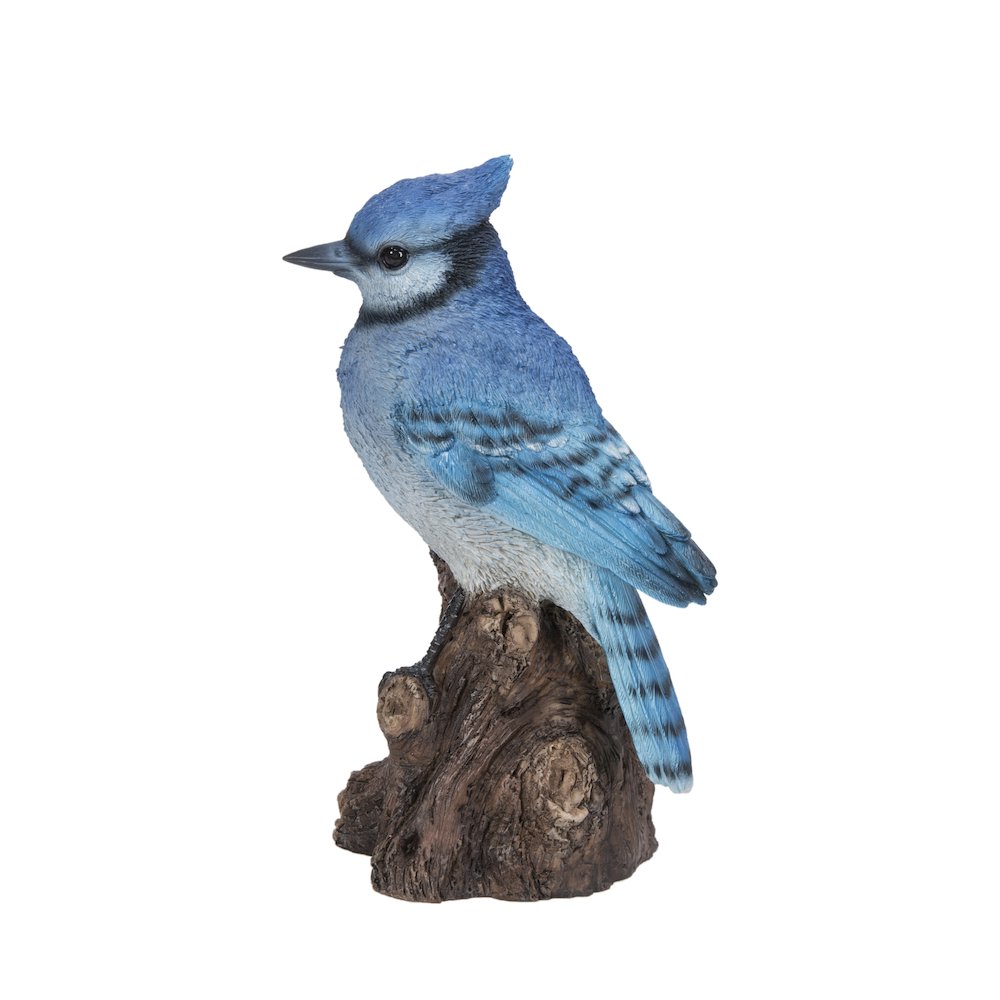 Motion Activated Singing Blue Jay Standing On Stump. Picture 2