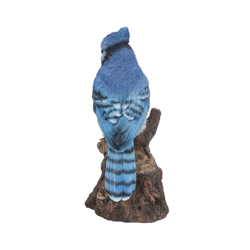 Motion Activated Singing Blue Jay Standing On Stump. Picture 3