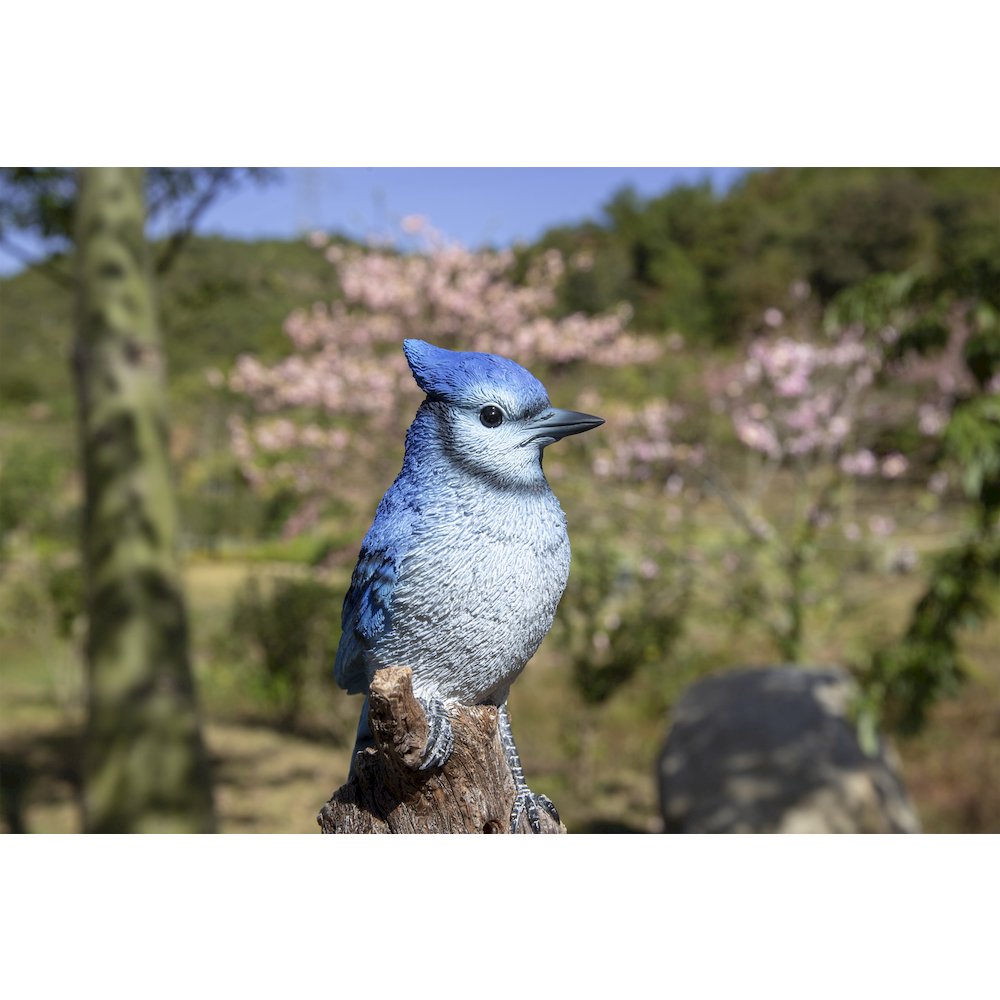 Motion Activated Singing Blue Jay Standing On Stump. Picture 4