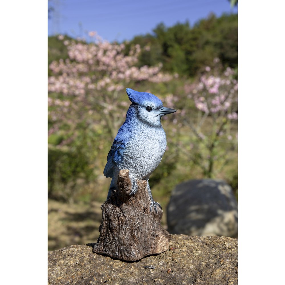 Motion Activated Singing Blue Jay Standing On Stump. Picture 5