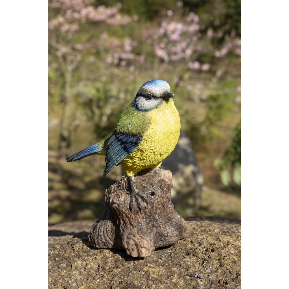Motion Activated Singing Bird Blue Tit On Stump. Picture 6