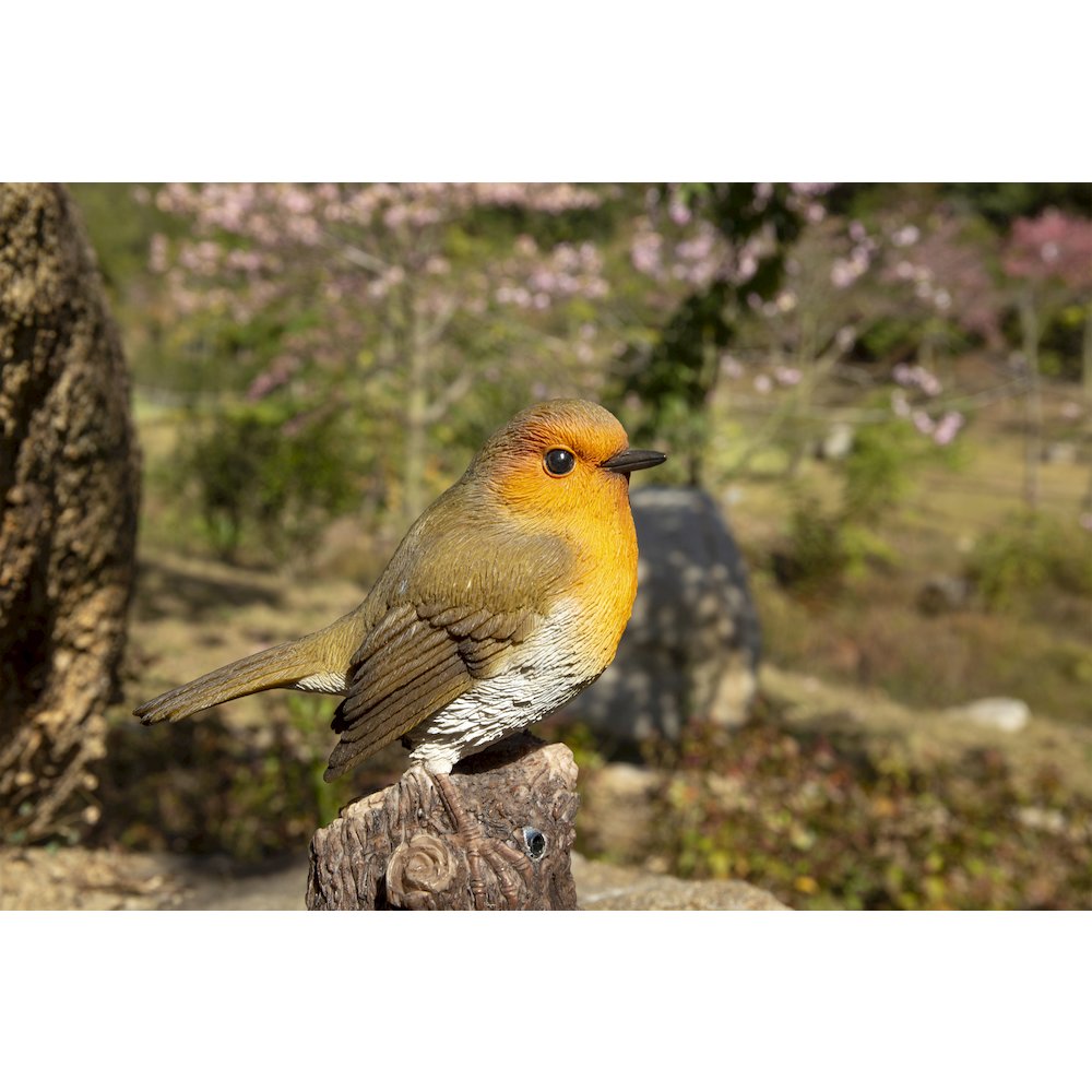 Motion Activated Singing Robin On Stump. Picture 7