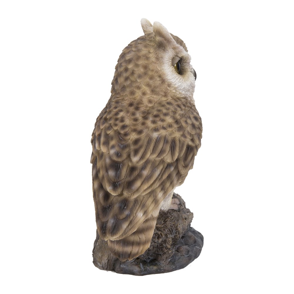 Motion Activated Singing Long Eared Owlet Standing On Stump. Picture 3