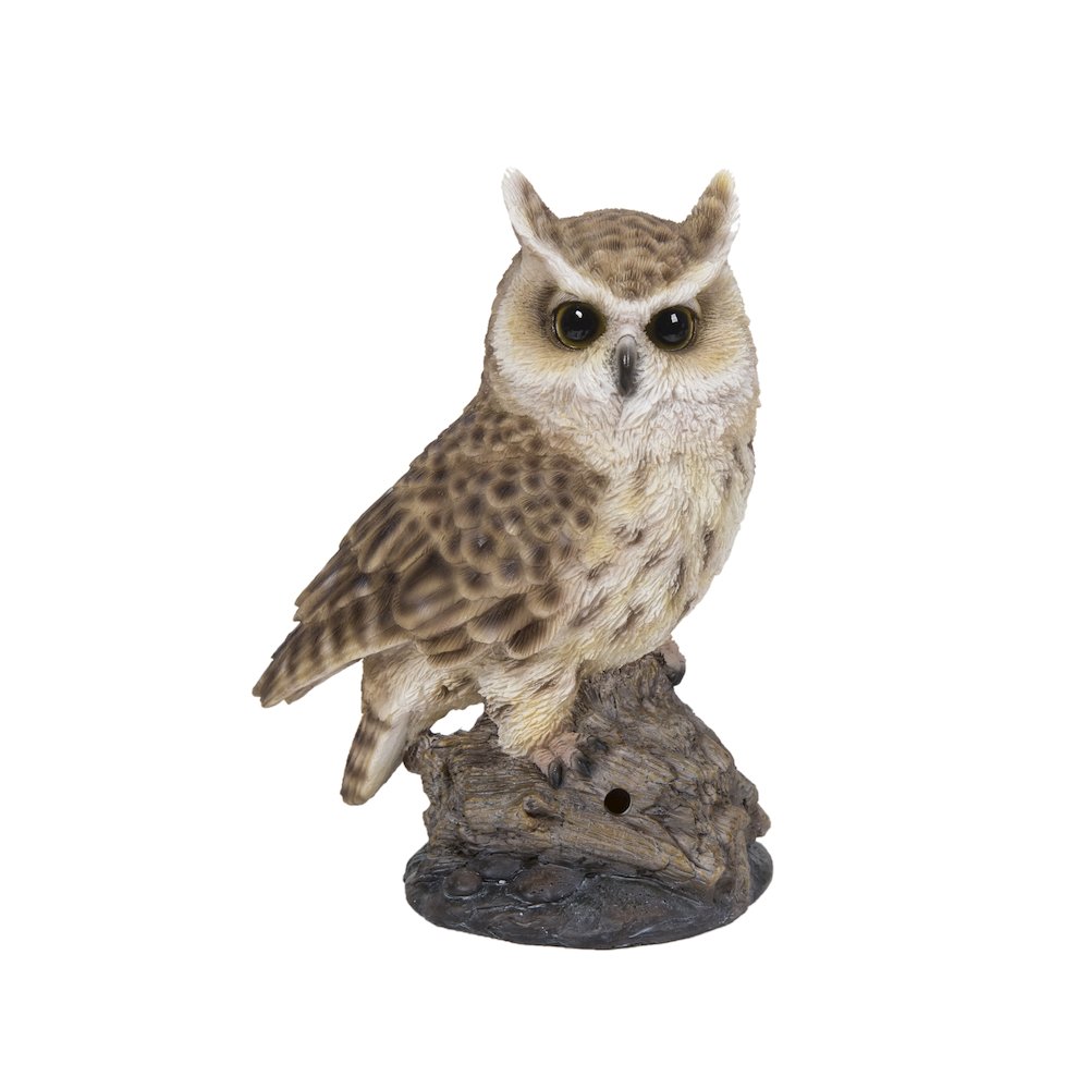 Motion Activated Singing Long Eared Owlet Standing On Stump. Picture 2