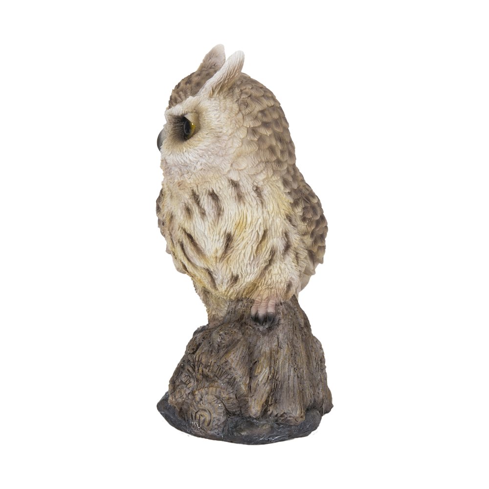 Motion Activated Singing Long Eared Owlet Standing On Stump. Picture 1