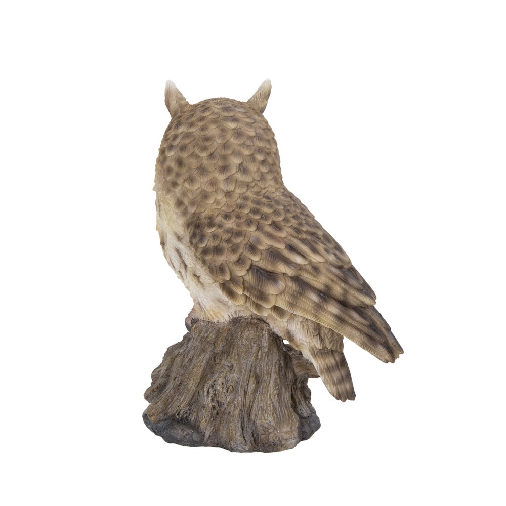 Motion Activated Singing Long Eared Owlet Standing On Stump. Picture 4