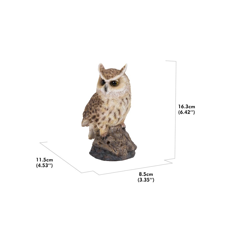 Motion Activated Singing Long Eared Owlet Standing On Stump. Picture 5