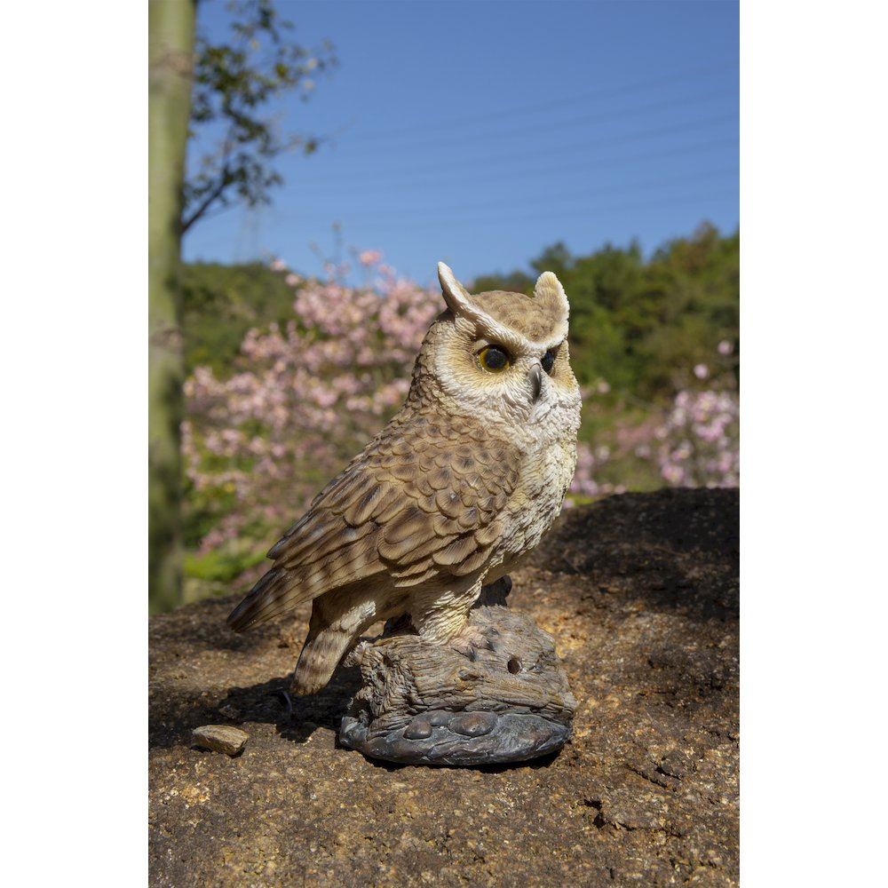 Motion Activated Singing Long Eared Owlet Standing On Stump. Picture 7