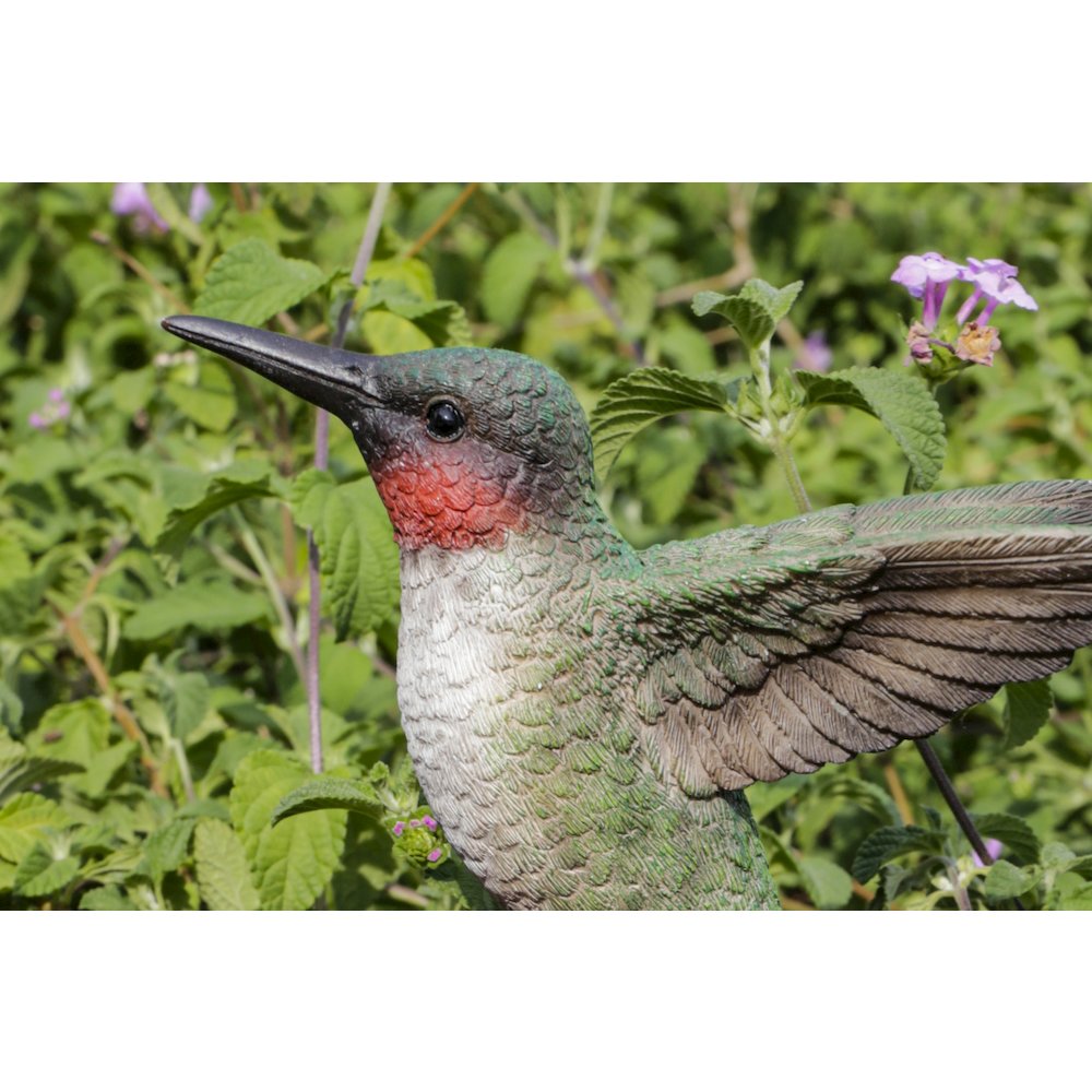 Motion Activated Singing Hummingbird On Foxglove. Picture 6
