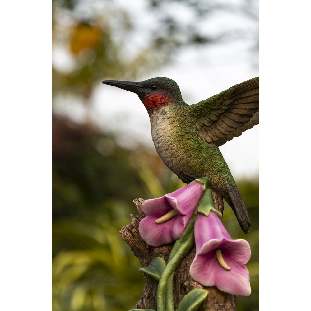Motion Activated Singing Hummingbird On Foxglove. Picture 7
