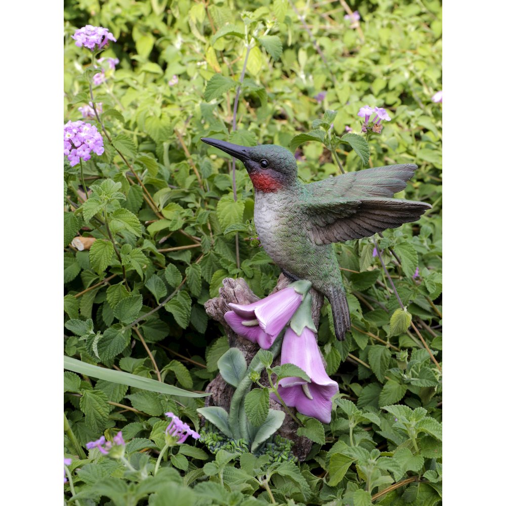 Motion Activated Singing Hummingbird On Foxglove. Picture 8