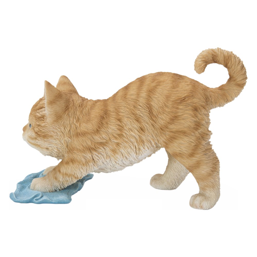 Kitten Mopping The Floor. Picture 3