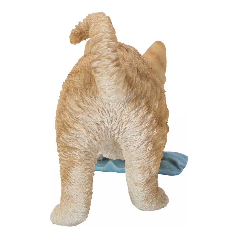 Kitten Mopping The Floor. Picture 4