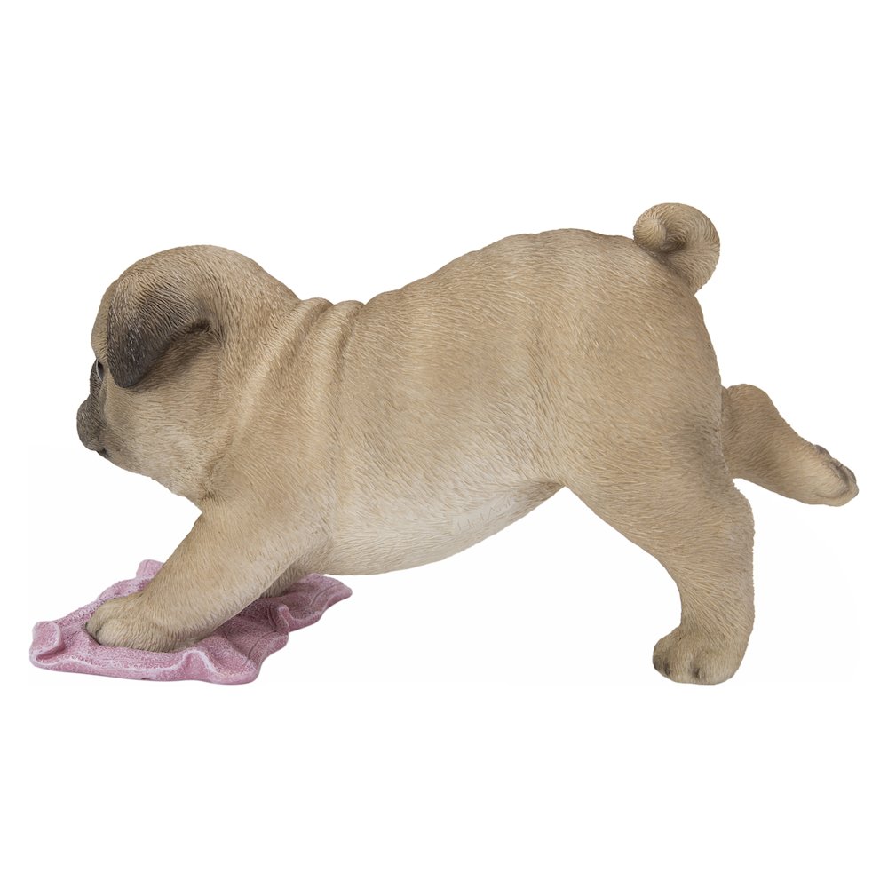 Pug Mopping The Floor. Picture 3