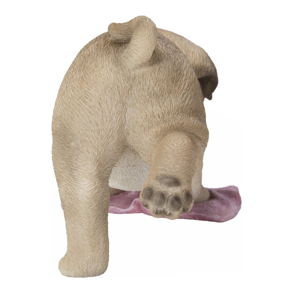 Pug Mopping The Floor. Picture 4