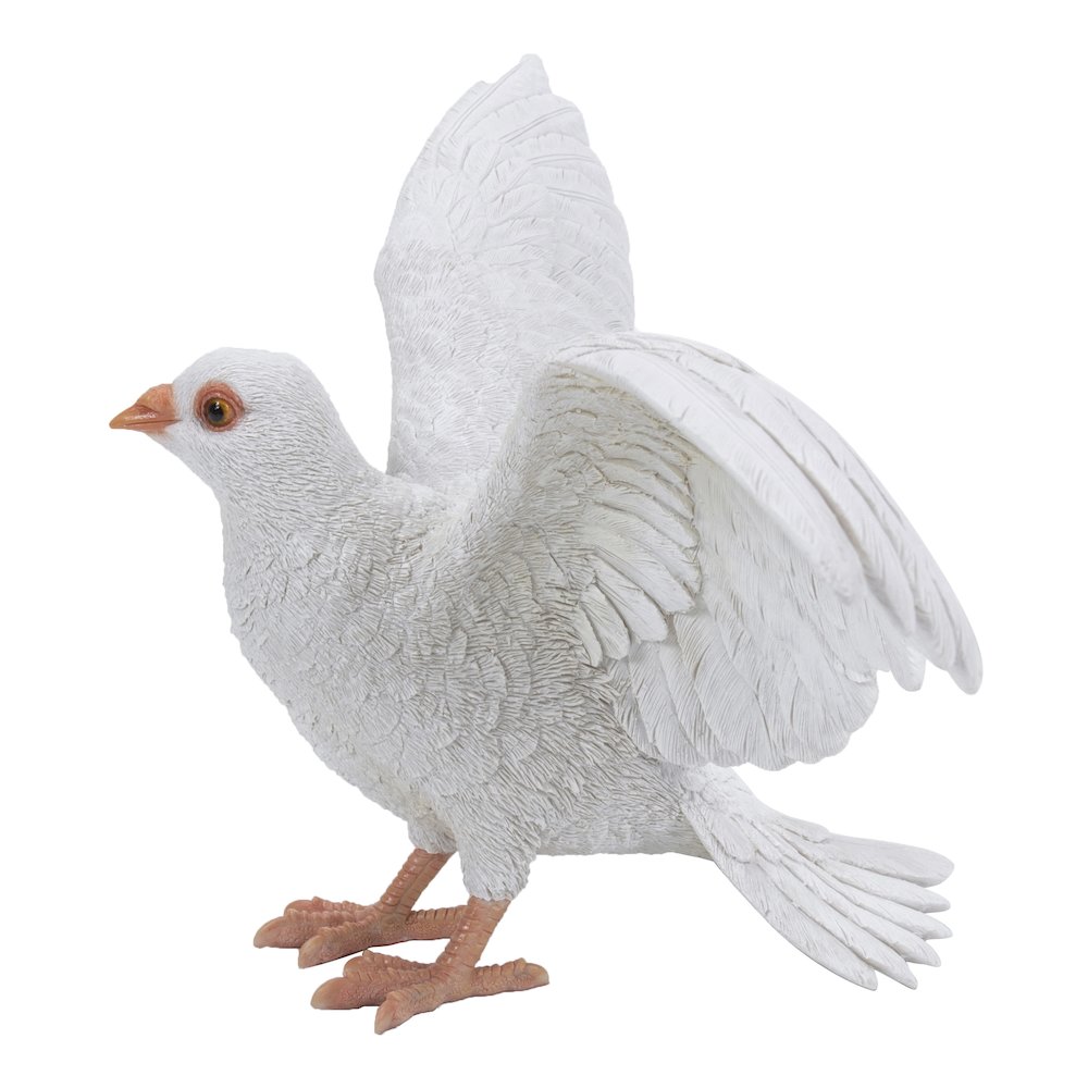 White Pigeon Spreads Wings. Picture 3