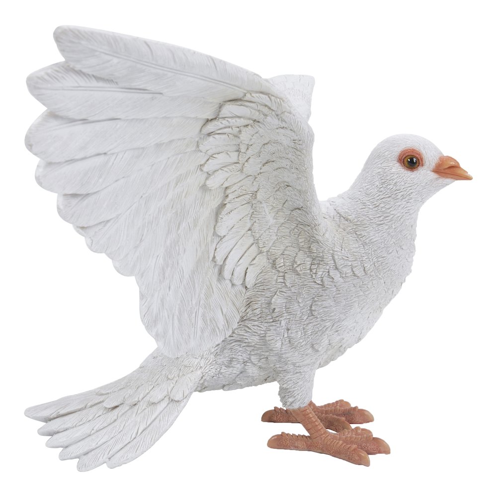 White Pigeon Spreads Wings. Picture 1
