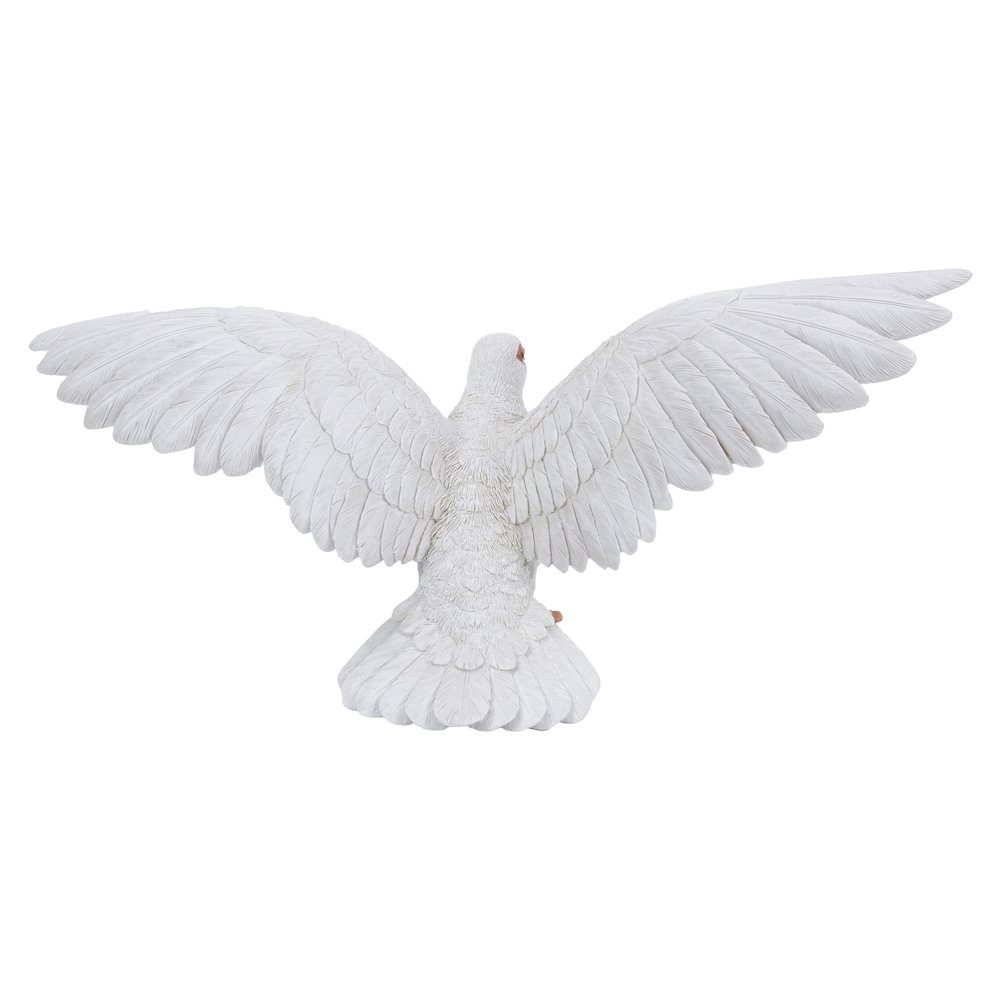 White Pigeon Spreads Wings. Picture 4