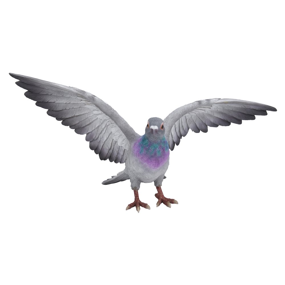 Grey Pigeon with Coloured Neck Statue. Picture 2