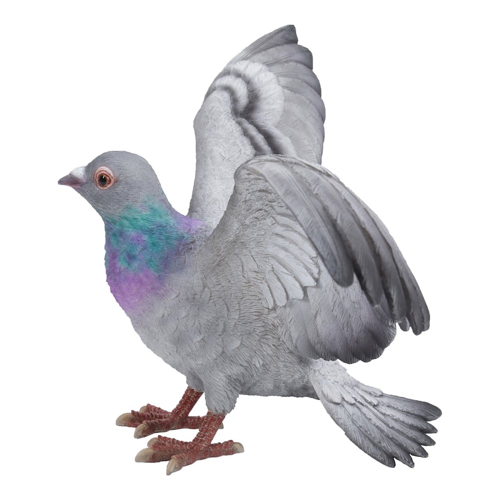 Grey Pigeon with Coloured Neck Statue. Picture 3