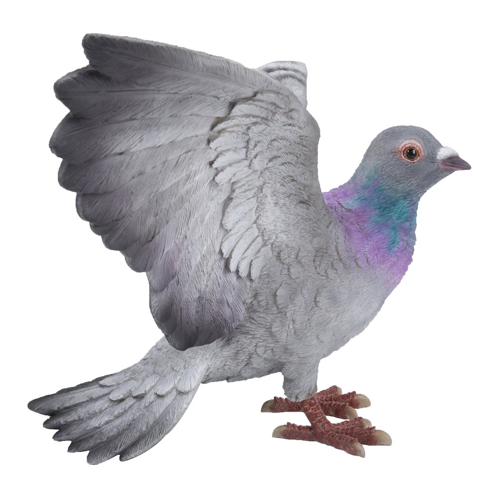 Grey Pigeon with Coloured Neck Statue. Picture 1