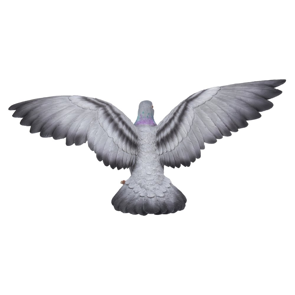 Grey Pigeon with Coloured Neck Statue. Picture 4