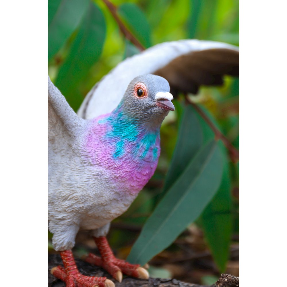 Grey Pigeon with Coloured Neck Statue. Picture 6