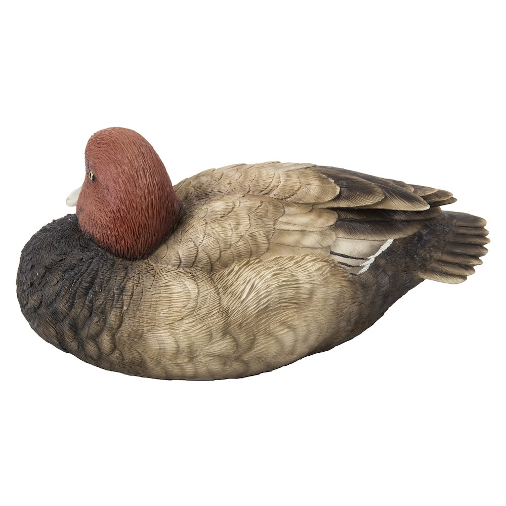 Mallard with Red Head. Picture 3