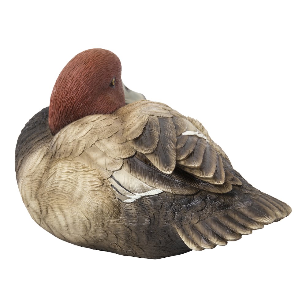 Mallard with Red Head. Picture 4