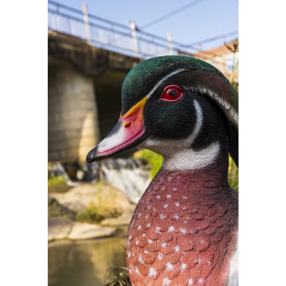 Colorful Sitting Wood Duck Garden Statue. Picture 4
