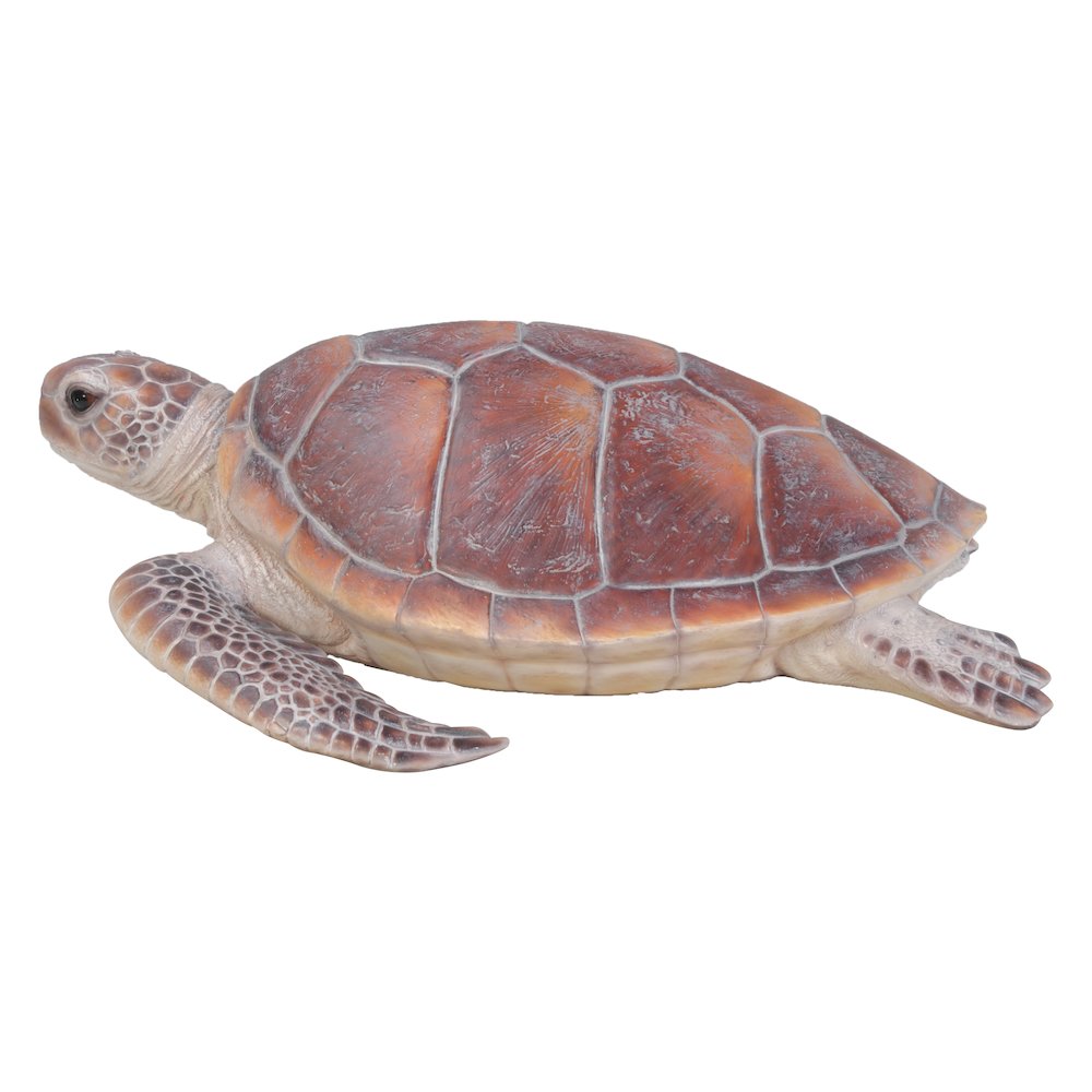 Large Sea Turtle. Picture 3
