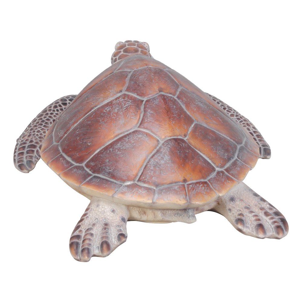 Large Sea Turtle. Picture 4