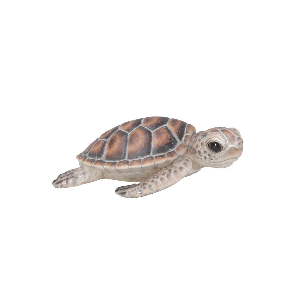 Small Sea Turtle. Picture 2