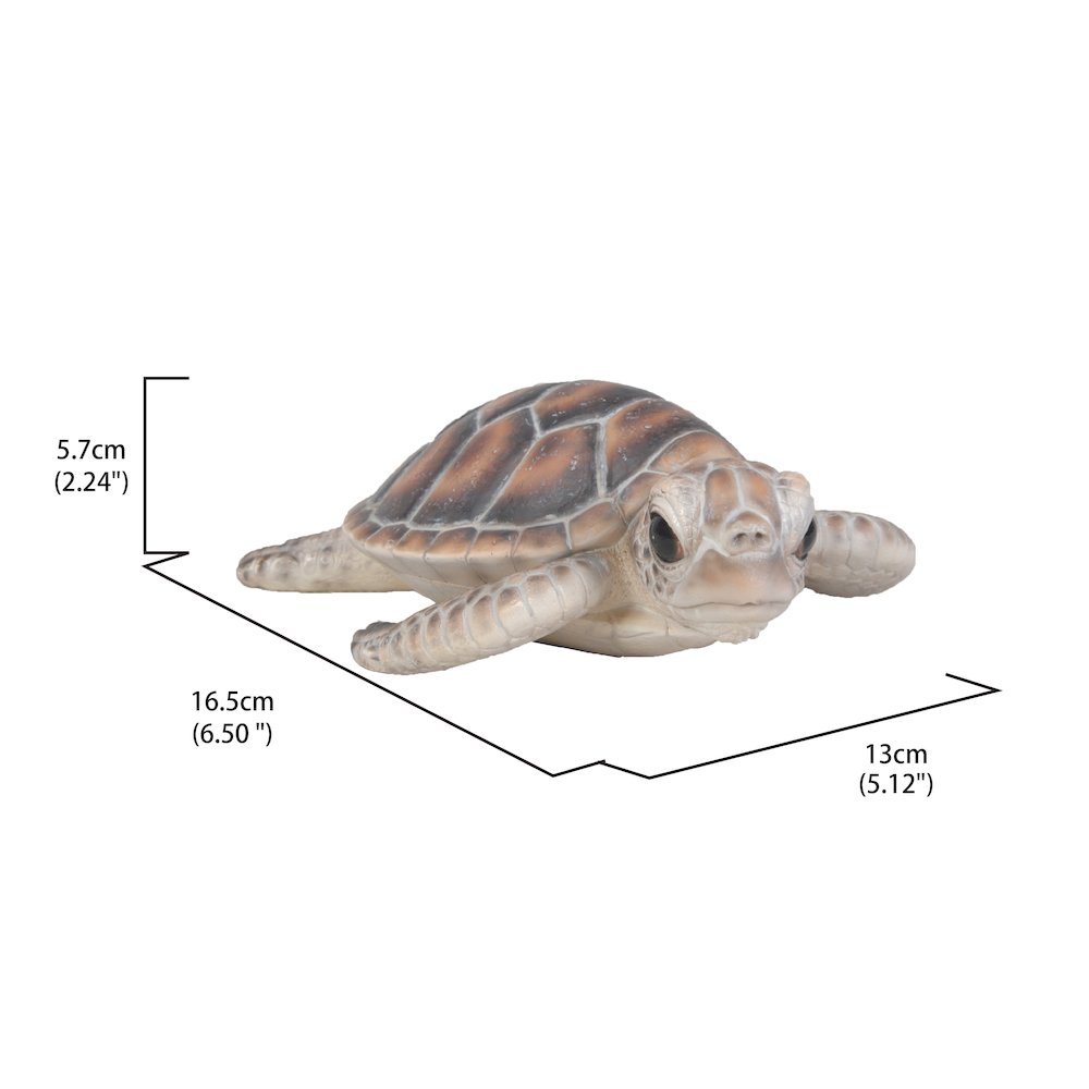 Small Sea Turtle. Picture 4