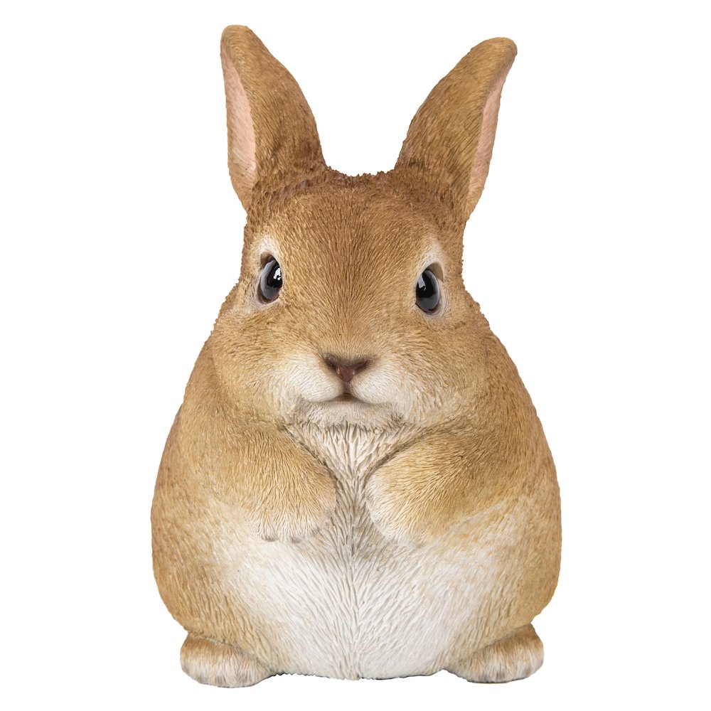 Chubby Rabbit Standing. Picture 2