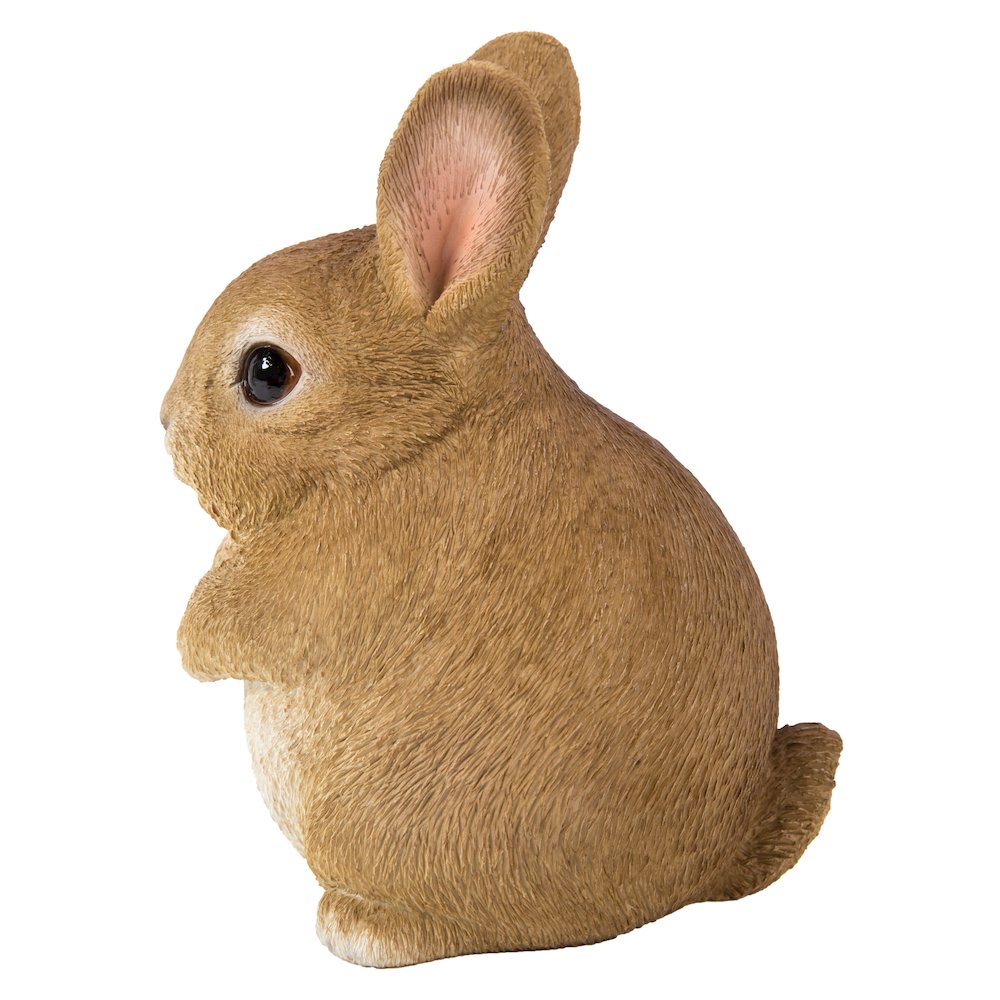 Chubby Rabbit Standing. Picture 3
